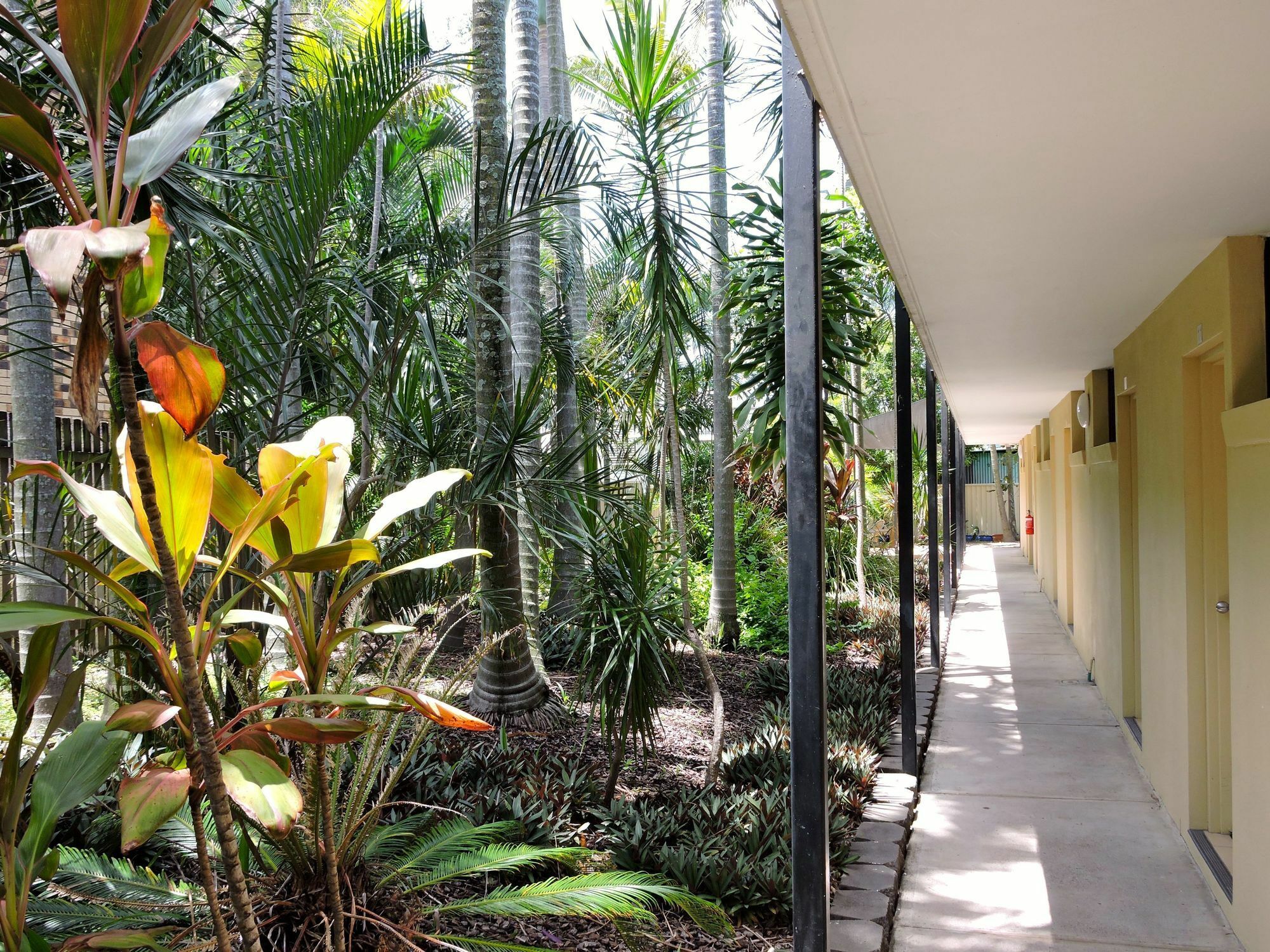 Best Western Airport 85 Motel Brisbane Extérieur photo
